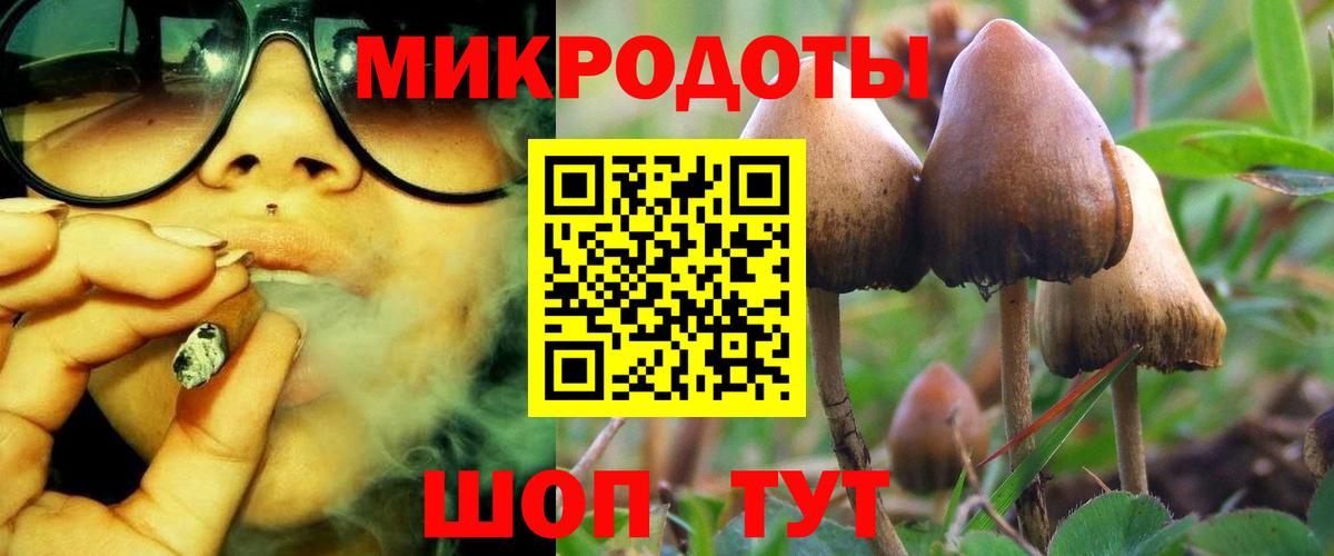 Галлюциногенные грибы Magic Shrooms  Псилоцибиновые грибы мухоморы  купить наркотик  Вход с VPN  Шатура 